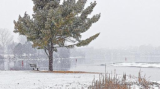 Lower Reach In Falling Snow_DSCF5738.jpg - Photographed along the Rideau Canal Waterway at Smiths Falls, Ontario, Canada.